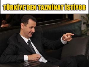 Esad Türkiye'den Tazminat istiyor