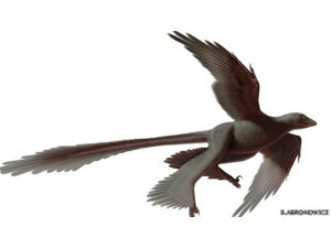 ÇİN'DE BÜYÜK KEŞİF!