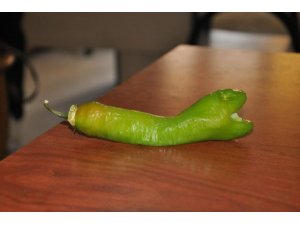 GÖRENLER ŞAŞKINA DÖNDÜ!