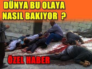 Dünya Banyas'ı Nasıl değerlendiriyor ?