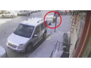 VİCDANSIZ SURİYELİ KÖPEĞE BÖYLE İŞKENCE ETTİ