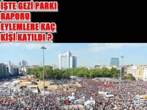Gezi Parkı Raporu Açıklandı