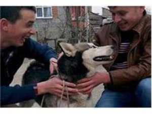 KÖPEK YÜZÜNDEN TARTIŞTIĞI OĞLUNU ÖLDÜRDÜ