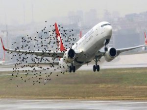 İZMİR UÇAĞINDA HAVADA DEHŞET