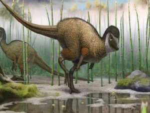 BU FOSİL BİLİM DÜNYASINI ŞOKA SOKTU