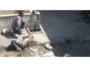 1 İNTİHAR, 2 CİNAYET... VAHŞET  ZİNCİRİ