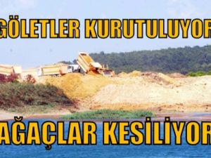 Göletler kurutuluyor, ağaçlar kesiliyor!