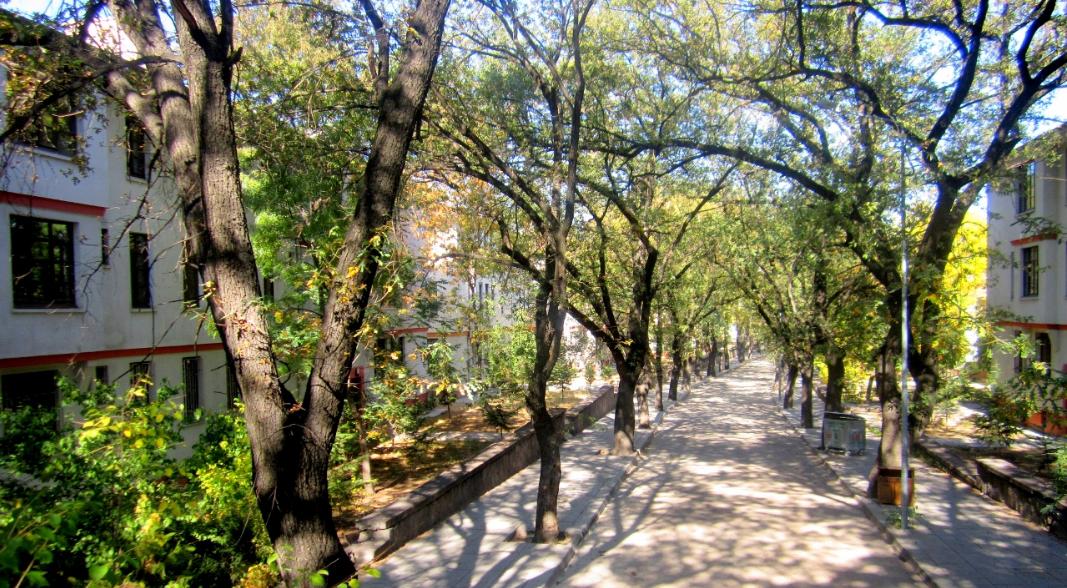 ANKARA'NIN ÜNLÜ MAHALLESİ YIKILIP AVM Mİ YAPILACAK