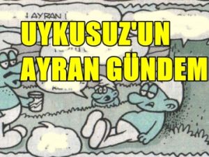 Uykusuz'da Türk Şirin'in Ayran Yorumu