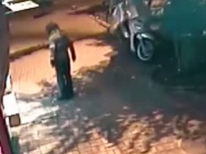 İSTANBUL'DA VAHŞET! KEDİLERİ BÖYLE ÖLDÜRDÜ (+18)