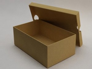 BİR AYAKKABI KUTUSU ŞOKU DAHA