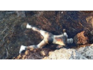 AYVALIK'TA SAHİLDE ERKEK CESEDİ BULUNDU