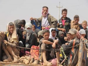 İŞTE IŞİD VAHŞETİ SONRASI ŞENGAL DAĞI