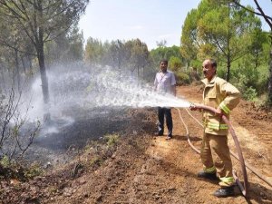 TORBALI'DA ORMAN KUNDAKLADILAR