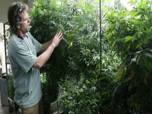 COLORADO  ESRARI SERBEST BIRAKTI BAKIN 6 AY İÇİNDE NE OLDU