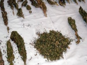 14 YAŞINDAKİ UYUŞTURUCU ÇETESİ LİDERİ TUTUKLANDI