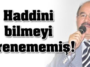 Çelik’ten ABD elçisine sert tepki