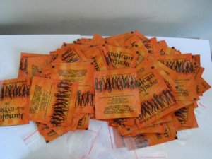 BONZAİ İLLALLAH DEDİRTTİ: BAĞIMLI AİLELERİ ÖLÜM ORUCU YAPACAK