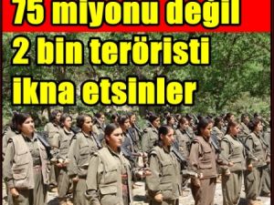 75 milyonu değil, 2 bin teröristi ikna etsinler !