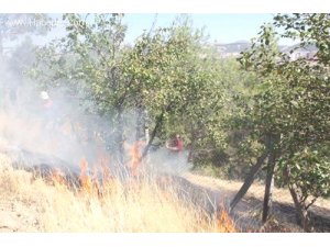 ADIYAMAN HALKI ORMANLARI İÇİN SEFERBER OLDU