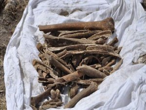 38 DERSİM OLAYLARINA SORUŞTURMA