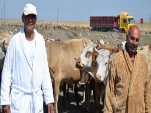 KÖYLÜLERDEN BORNOZLU PROTESTO