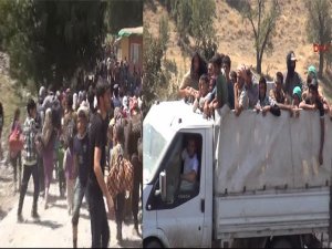 HAYVAN GİBİ ÇOCUKLARIMIZIN KAFALARINI KESTİLER