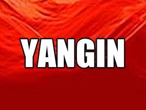 ADANA'DA KORKUTAN ORMAN YANGINI