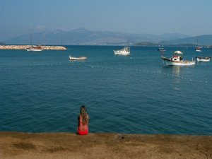 SAHİPSİZ KÖPEKLER DEHŞET SAÇTI