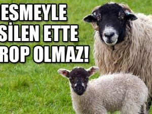 'Besmeleyle kesilen ette mikrop olmaz'