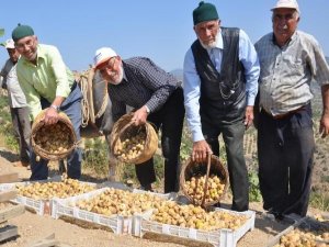 İŞTE UZUN YAŞAMIN SIRRI