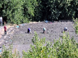 ÇİFTÇİLERE KÖTÜ HABER