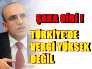 Maliye Bakanı Şimşek; Vergiler Yüksek Değil !