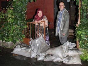 EDİRNE'DE FIRTINA AĞAÇLARI DEVİRDİ