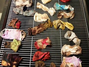 43 ÇORAP YUTAN KÖPEK OLAY OLDU