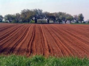 Bakanın verdiği yabancıya toprak satışı rakamları eksik!