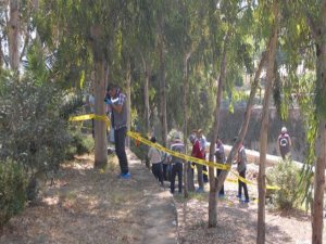 BÖYLE CİNAYET GÖRÜLMEDİ