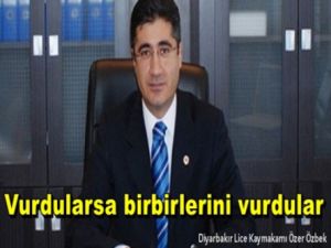 Lice Kaymakamı: Vurdularsa birbirlerini vurdular!