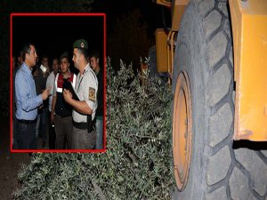 SOMA'DA DOZERLE ZEYTİNLİK BASKINI!