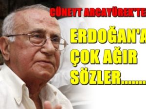 Cumhuriyet yazarından Erdoğan'a: Artistlik yapma lan!