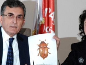 Böceğe Atatürk ismi verildi