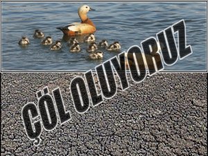 İŞTE BÖYLE ÇÖL OLUYORUZ