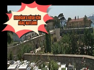 BEYLERBEYİNDE ERDOĞAN KÖŞKÜ İÇİN AĞAÇ KATLİAMI