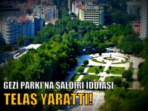 Gezi Parkı'na Saldırı!