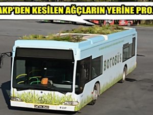 ÇATISI BAHÇE OLAN OTOBÜSLER TRAFİĞE ÇIKTI