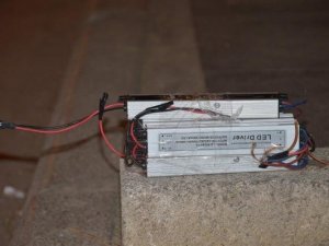 AYDIN'DA BOMBA PANİĞİ