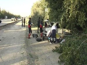 KONTROLDEN ÇIKAN OTOMOBİL AĞACA ÇARPTI: 1 ÖLÜ, 4 YARALI