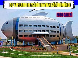 HAYVAN ŞEKİLLİ YAPILMIŞ 20 BİNA