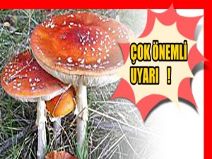 SAĞLIK BAKANLIĞINDAN ÇOK  ÖNEMLİ UYARI