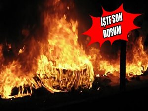 ÖLÜ SAYISI 35 YÜZLERCE YARALI VE TÜM TÜRKİYE'DE SON DURUM